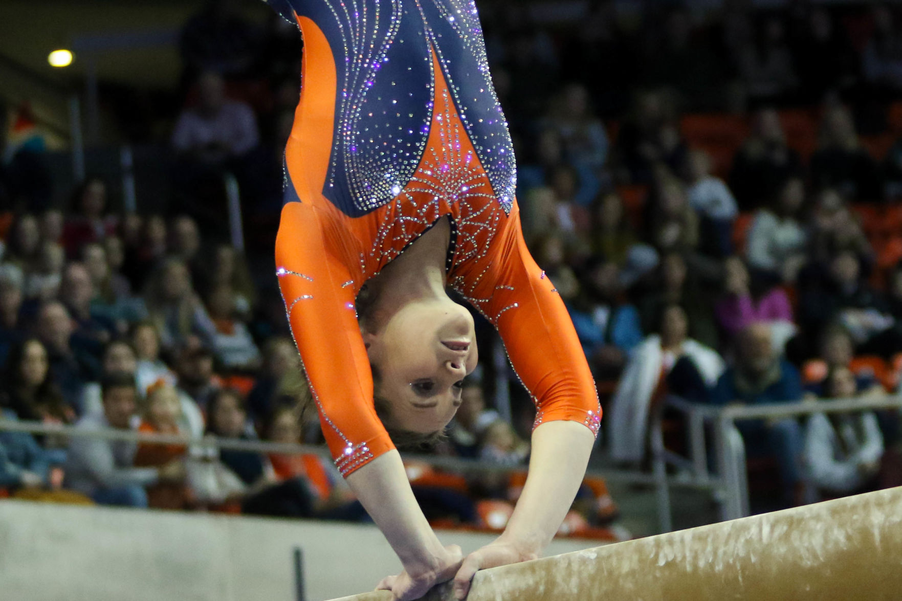 Auburn vs. Kentucky gymnastics